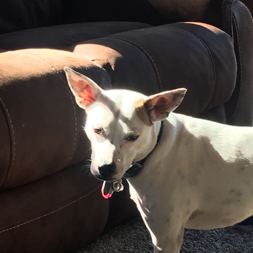 Meet your Posher, Tim